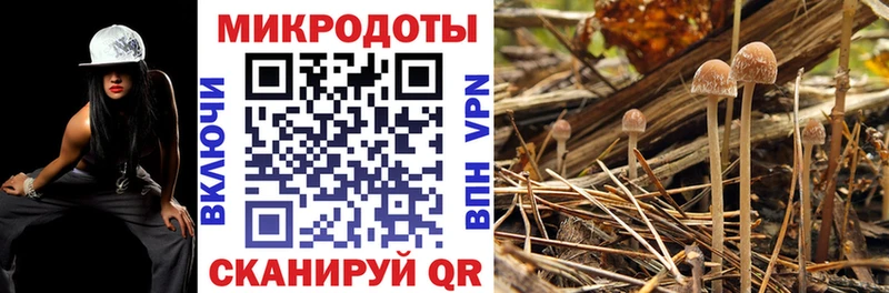 Псилоцибиновые грибы Magic Shrooms  Бобров 